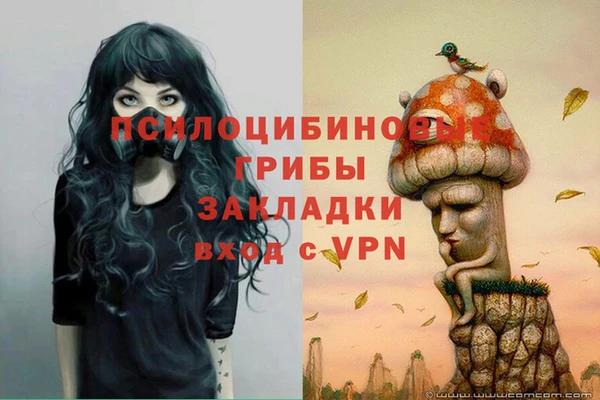 jwh Володарск