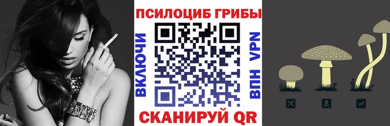 Псилоцибиновые грибы GOLDEN TEACHER Чернушка