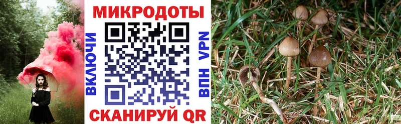 Псилоцибиновые грибы MAGIC MUSHROOMS  мега ТОР  Чернушка 