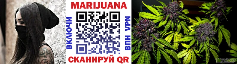 Бошки Шишки THC 21% Чернушка